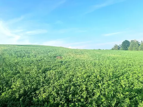 Co Rd 358, Daggett, MI 49821