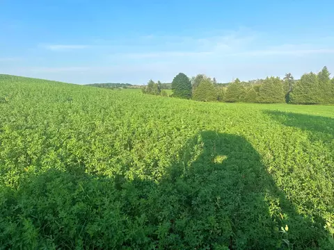 Co Rd 358, Daggett, MI 49821 photo 19