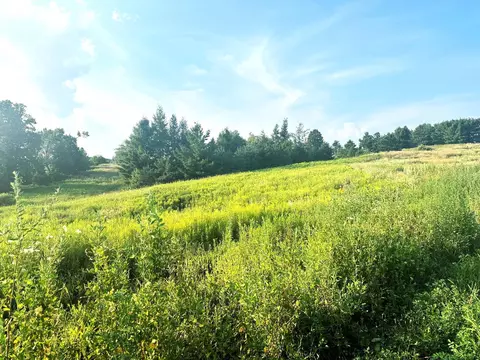 Co Rd 358, Daggett, MI 49821 photo 9