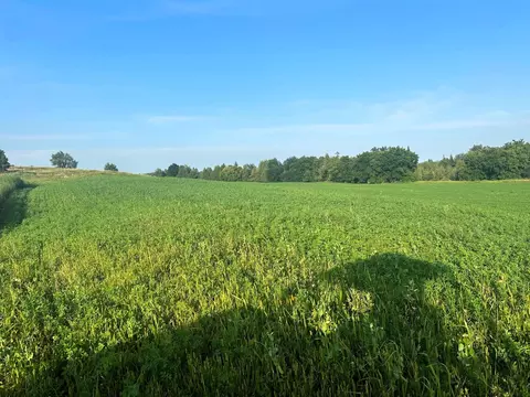 Co Rd 358, Daggett, MI 49821 photo 7