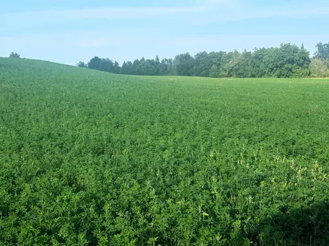 Co Rd 358, Daggett, MI 49821 photo 33
