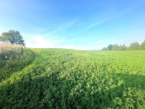 Co Rd 358, Daggett, MI 49821 photo 2