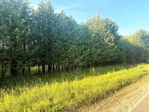 Co Rd 358, Daggett, MI 49821 photo 41