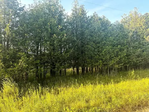 Co Rd 358, Daggett, MI 49821 photo 40
