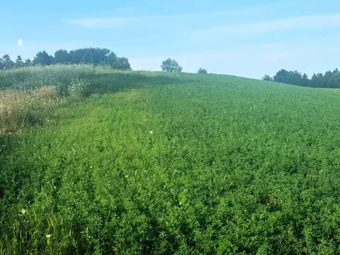 Co Rd 358, Daggett, MI 49821 photo 34