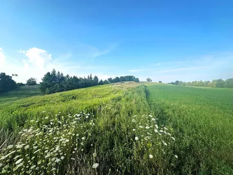 Co Rd 358, Daggett, MI 49821 photo 29