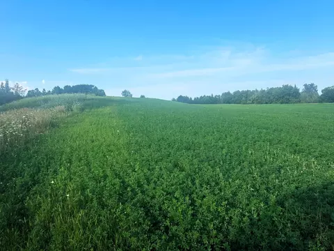 Co Rd 358, Daggett, MI 49821 photo 35