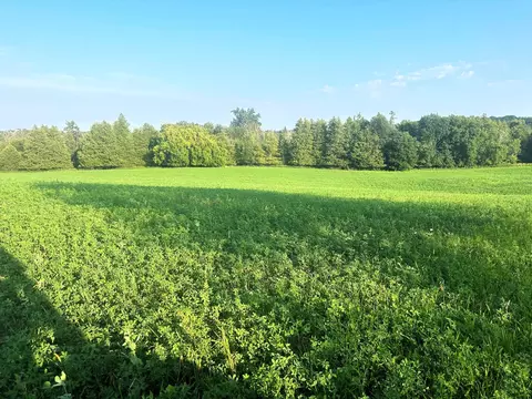 Co Rd 358, Daggett, MI 49821 photo 18