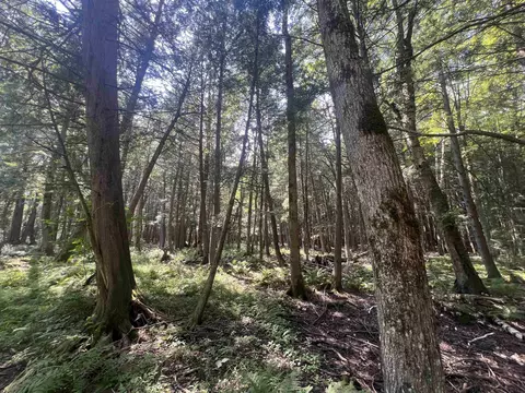 Camp Five Road, Crivitz, WI 54114 photo 10