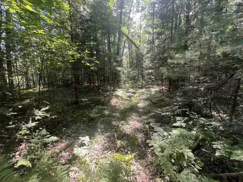 Camp Five Road, Crivitz, WI 54114 photo 9