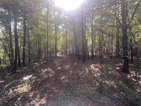 Camp Five Road, Crivitz, WI 54114 photo 7