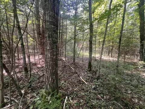 Camp Five Road, Crivitz, WI 54114 photo 8