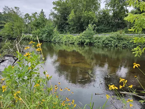 View/Area - 206 E Sessions St, Waupaca, WI 54981 photo 2 of 2