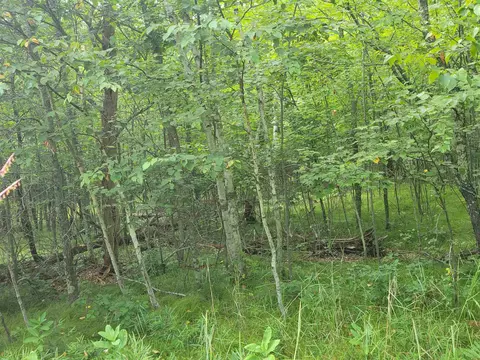 thorn lake loop, Wascott, WI 54838 photo 6