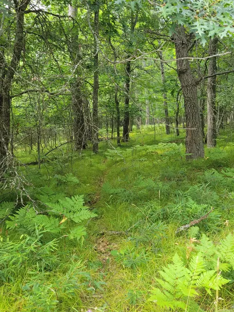 thorn lake loop, Wascott, WI 54838 photo 9
