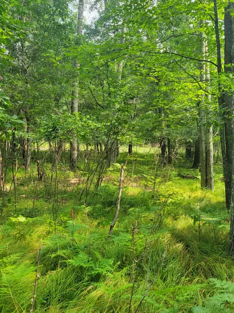 thorn lake loop, Wascott, WI 54838 photo 8