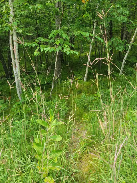 thorn lake loop, Wascott, WI 54838 photo 11