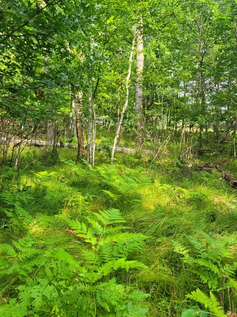 thorn lake loop, Wascott, WI 54838 photo 7