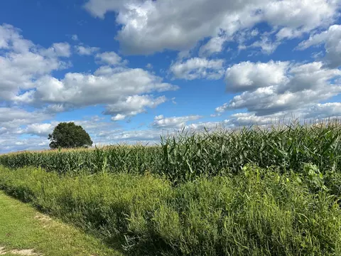 State Road 22 54, Waupaca, WI 54981