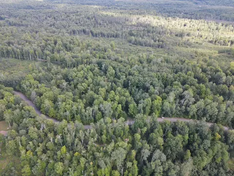 thelen road, Mountain, WI 54149 photo 4