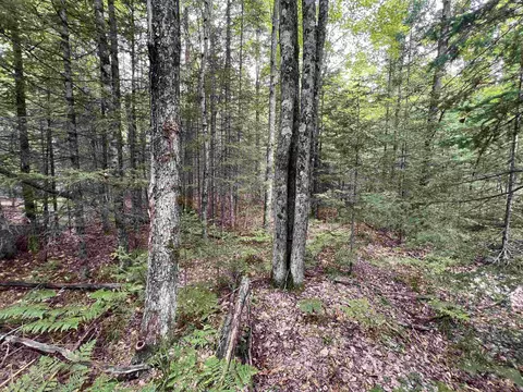 bruette road, Wausaukee, WI 54177