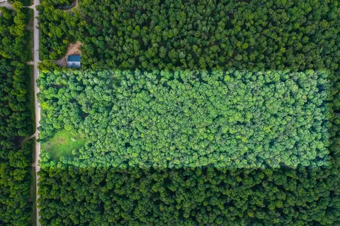 N12986 Berry Woods Trail, Athelstane, WI 54104