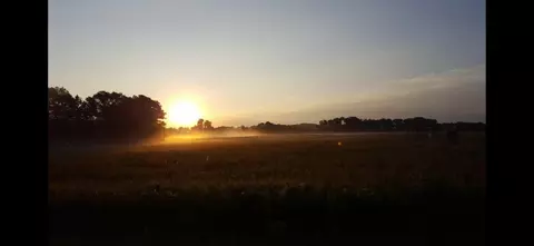 Gurholt Road, Scandinavia, WI 54977