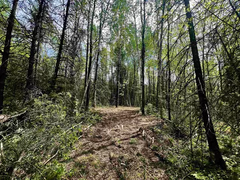 Bergeson Lane, Amberg, WI 54102