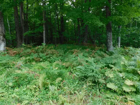 W Shay Lake Lane, Pound, WI 54161