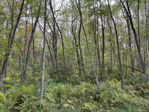 n6956 Springbrook Road, Cecil, WI 54111 photo 4