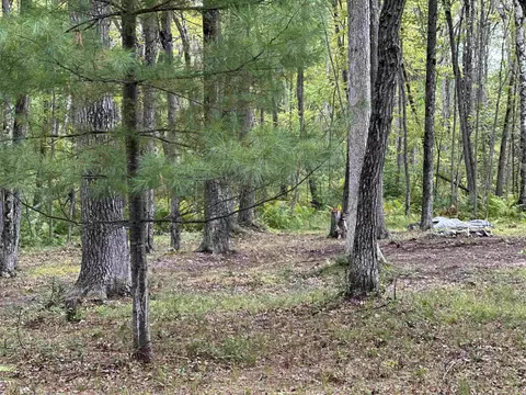 n6956 Springbrook Road, Cecil, WI 54111 photo 9
