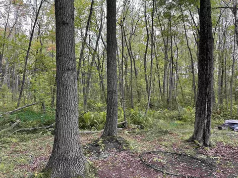 n6956 Springbrook Road, Cecil, WI 54111 photo 6
