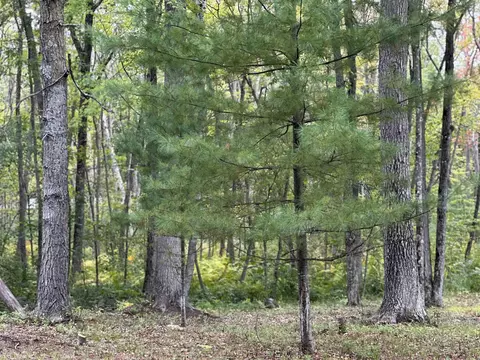n6956 Springbrook Road, Cecil, WI 54111 photo 10