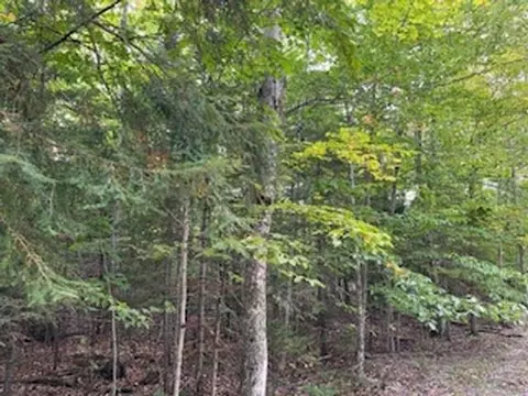 fawn lane, Ellison Bay, WI 54210