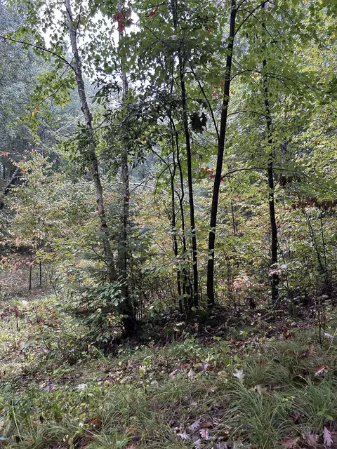 Camp 5 Road, Crivitz, WI 54114