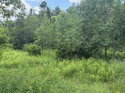 Kaiko Road, Wausaukee, WI 54177