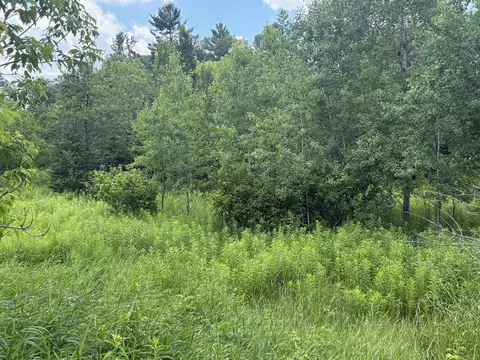 Kaiko Road, Wausaukee, WI 54177
