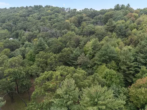 View/Area - w3916 Saxeville Road, Pine River, WI 54965 photo 3 of 11