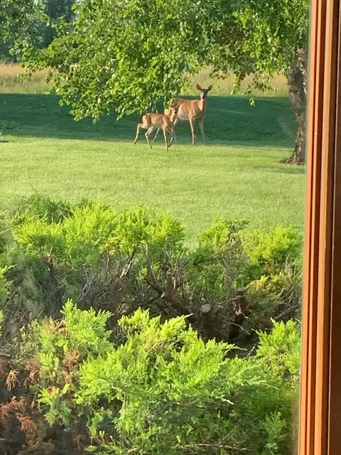 w3552 Equestrian Trail, Appleton, WI 54913 photo 8