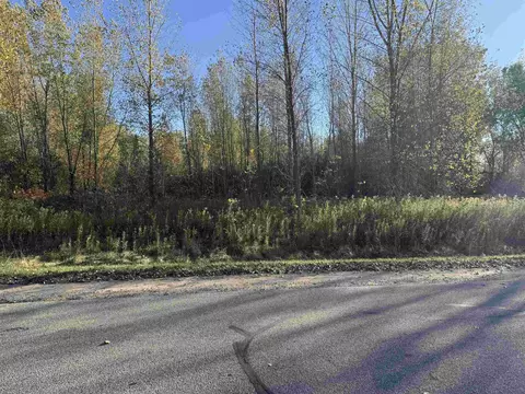 willow wood street, Shawano, WI 54929