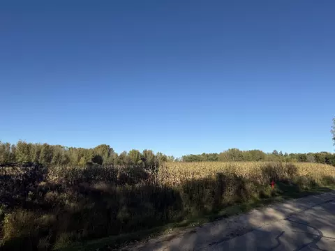 willow wood street, Shawano, WI 54929