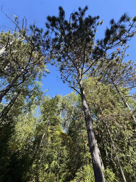 idlewild woods drive, Sturgeon Bay, WI 54325