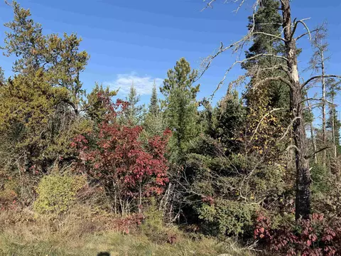 Riverview Road, Mountain, WI 54149