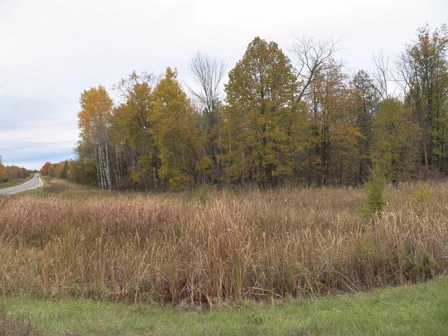 Hoyt Road, Lena, WI 54139