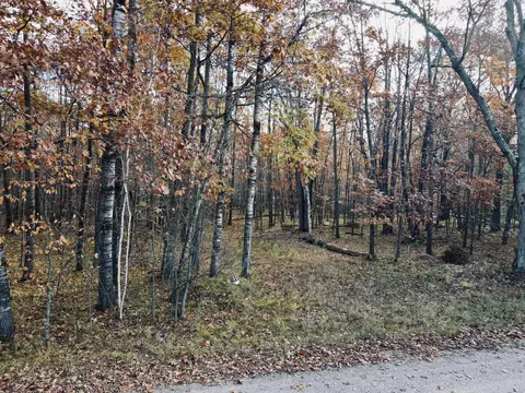 Exterior - 10869 Dall Ln, Suring, WI 54174 photo 7 of 7