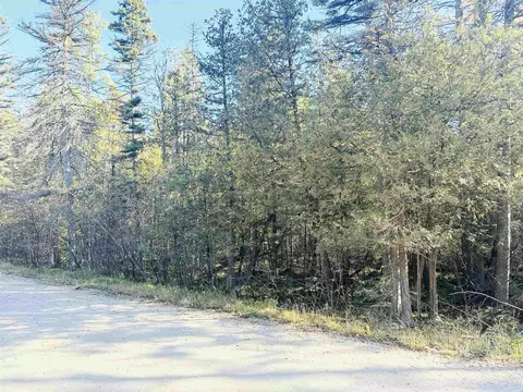 Koss Road, Stephenson, MI 49858 photo 2