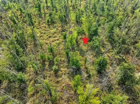 black ash road, Algoma, WI 54201 photo 5