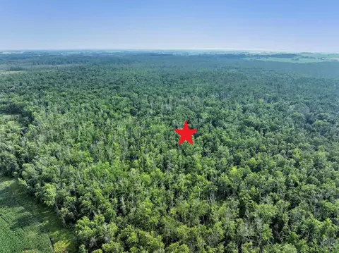 black ash road, Algoma, WI 54201 photo 4