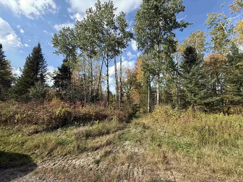 hwy 52, Lily, WI 54491