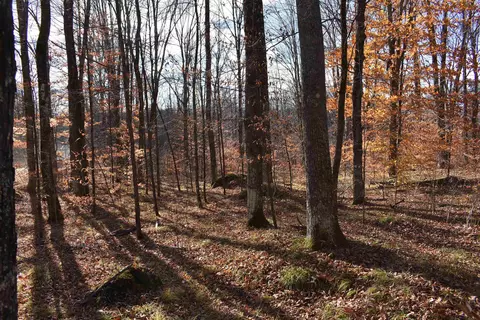 n13315 Harper Road, Athelstane, WI 54104